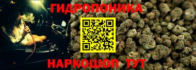 СК Кунгур