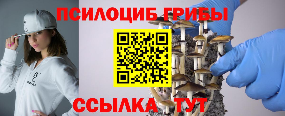 Каменск-Шахтинский  Псилоцибиновые грибы GOLDEN TEACHER  как найти закладки  Вход с VPN 